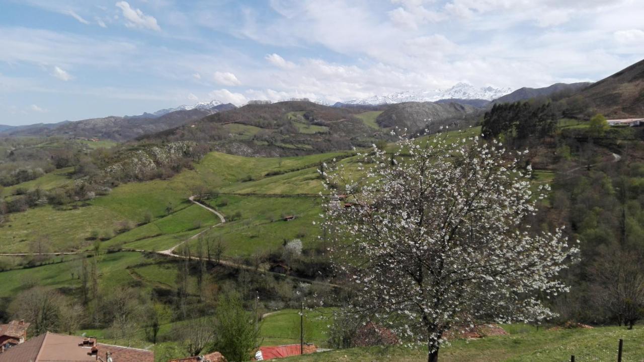 Apartamentos El Llanin Cangas de Onis Luaran gambar